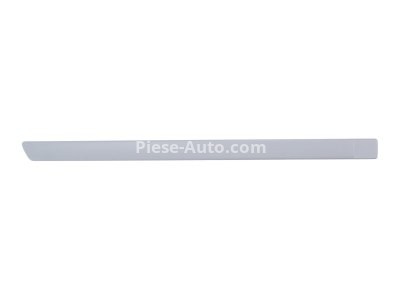 Bandou / ornament pentru ușă spate dreapta (vopsibil) , pentru: FORD FOCUS II 07.04-02.08