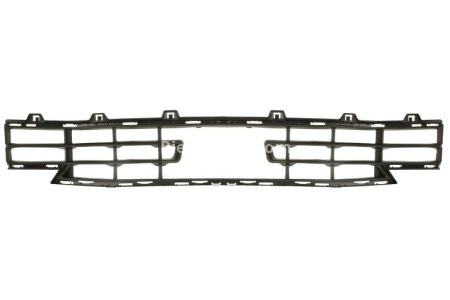 Grila ventilatie, bara protectie BMW Seria 1 (F40)