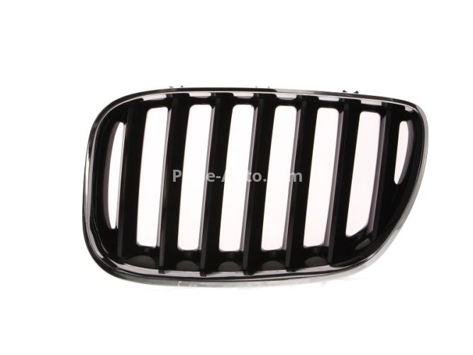Grilă radiator stânga (crom/negru) , pentru: BMW X5 (E53) 3.0-4.8 01.00-10.06 -12.06