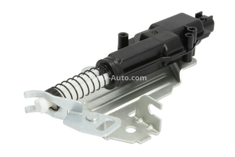 Servo motor electric deschidere / inchidere haion pentru:: FORD FIESTA V, FUSION; FORD USA FUSION 11.01-12.12