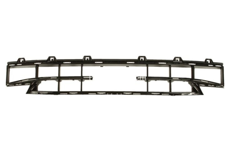 Grila ventilatie, bara protectie BMW Seria 1 (F40)