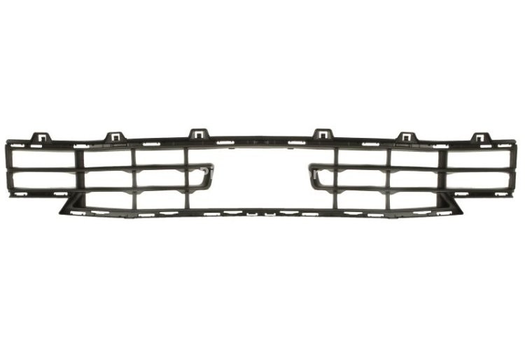 Grila ventilatie, bara protectie BMW Seria 1 (F40)