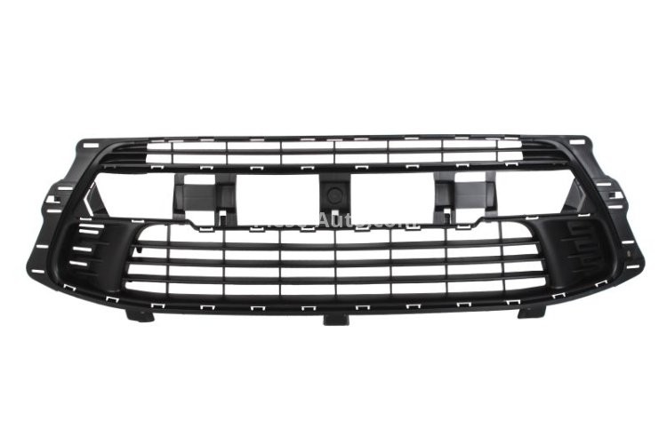 Grilă ventilație,bară protecție față (mijloc, CZ) , pentru: CITROEN C4, C4 I, C4 II 11.04- 11.09-12.10